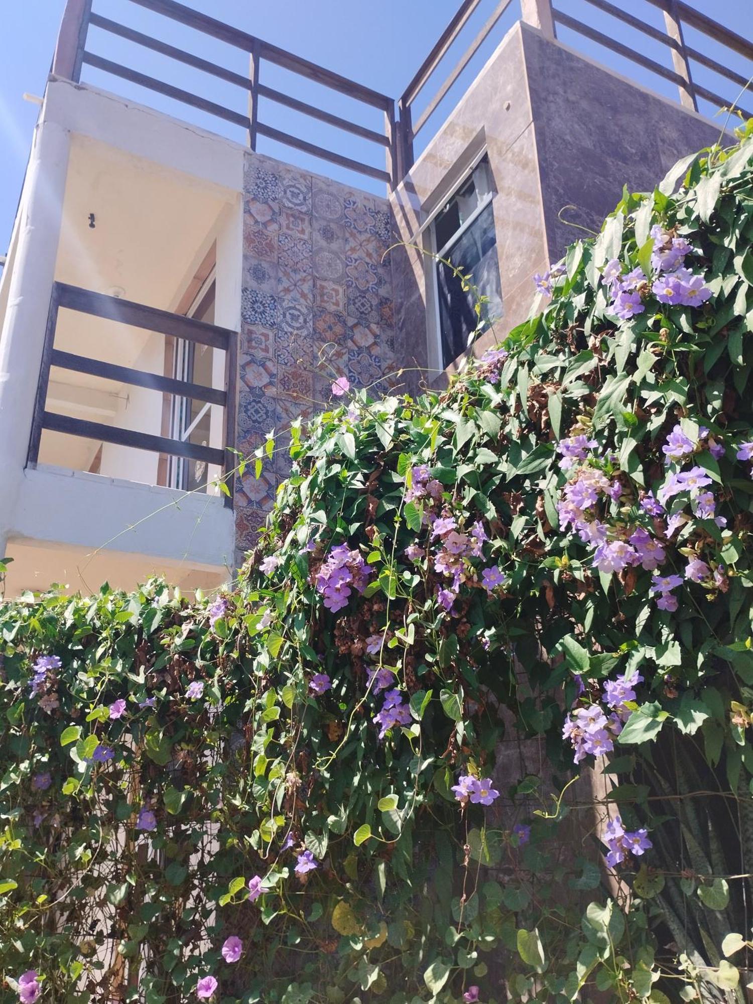 Seomarujo Rent A Room Morro Branco Beberibe Bagian luar foto